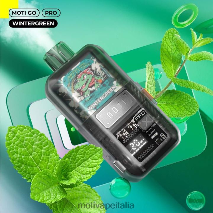 MOTI Vape Pods - MOTI Go Pro vaporizzatore usa e getta (5%, 12000 boccate) 440BHX24 invernoverde